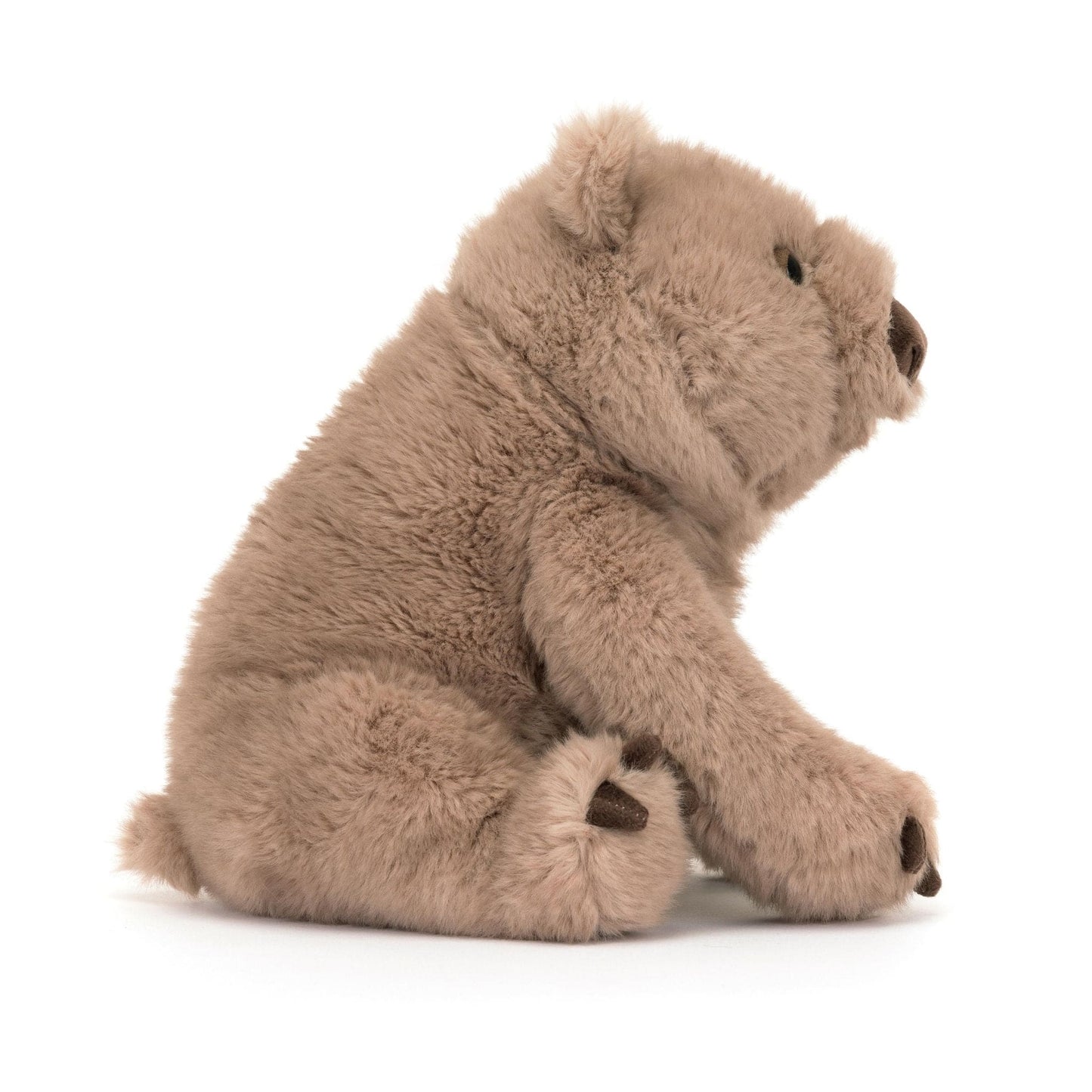 Jellycat Wonda Wombat soft toy 23cm