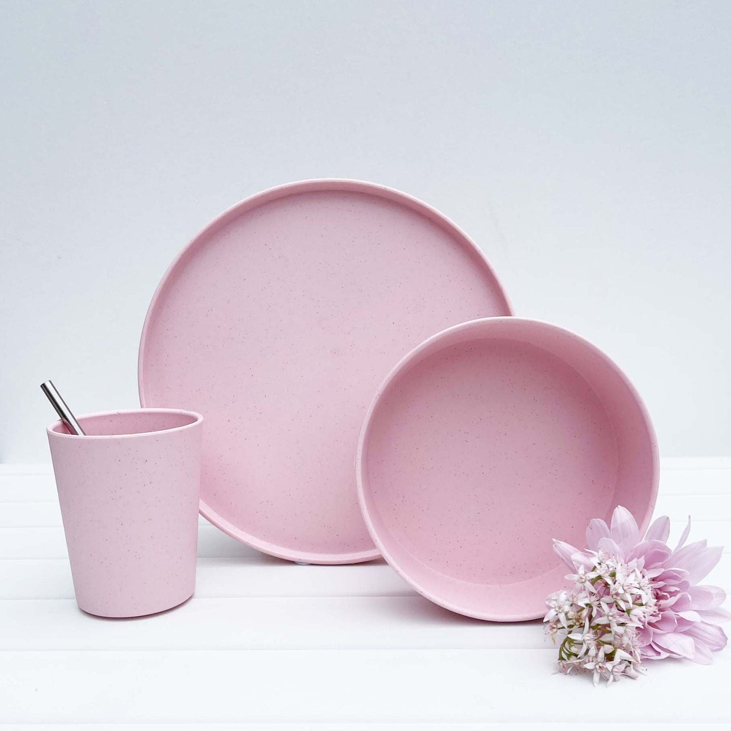 Amelia Frank Recycled Round Dinnerware Plate, Set of 2
