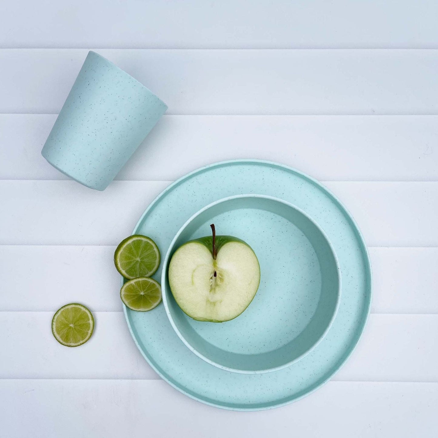 Amelia Frank Recycled Round Dinnerware Plate, Set of 2