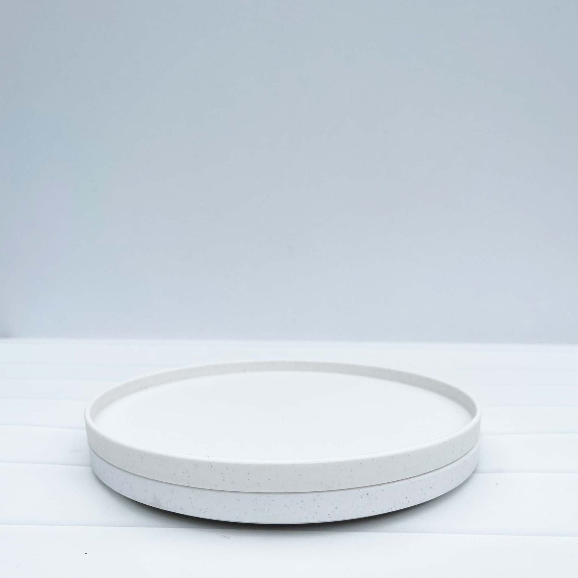 Amelia Frank Recycled Round Dinnerware Plate, Set of 2