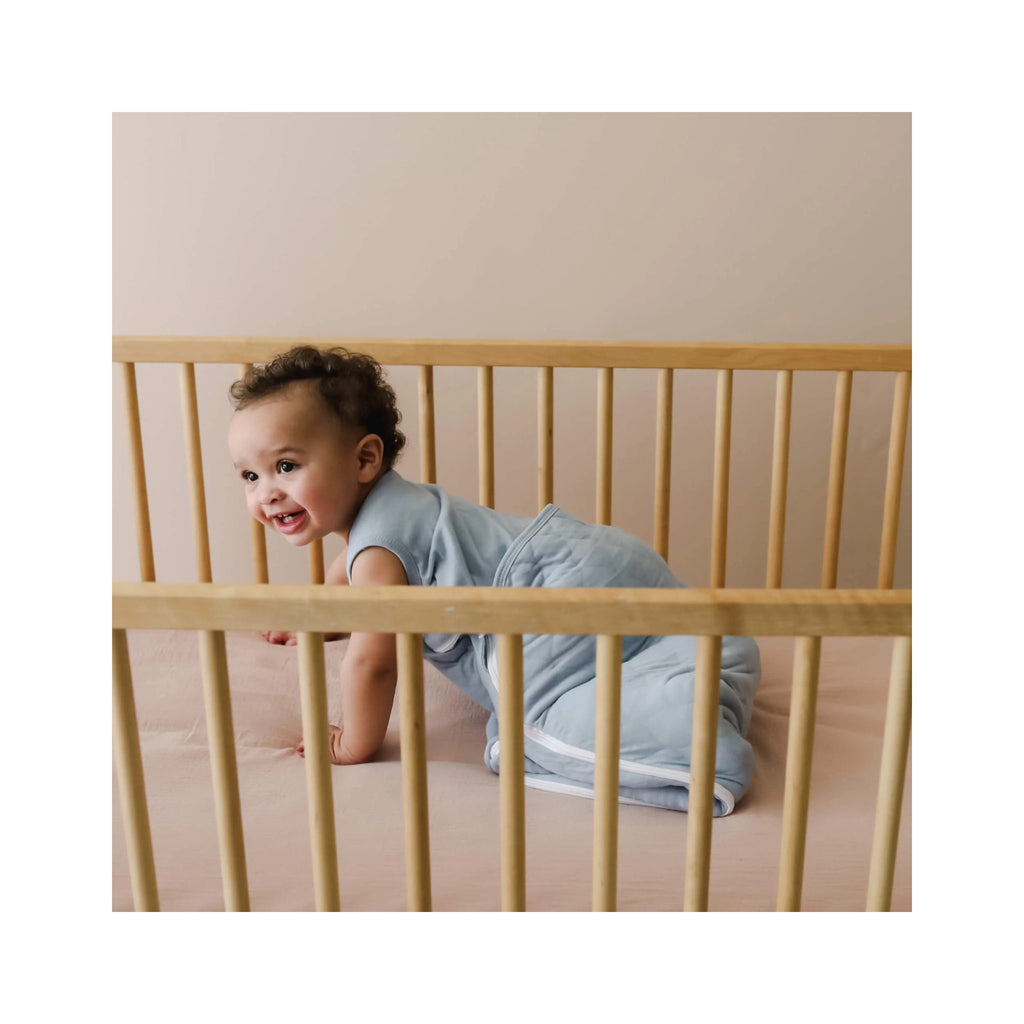Embé Laylo DUO Sleeper Sack (Sheet + Comforter) 6-24 Months - Sky