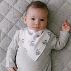 Mister Fly 100% Cotton Baby Dribble Bib