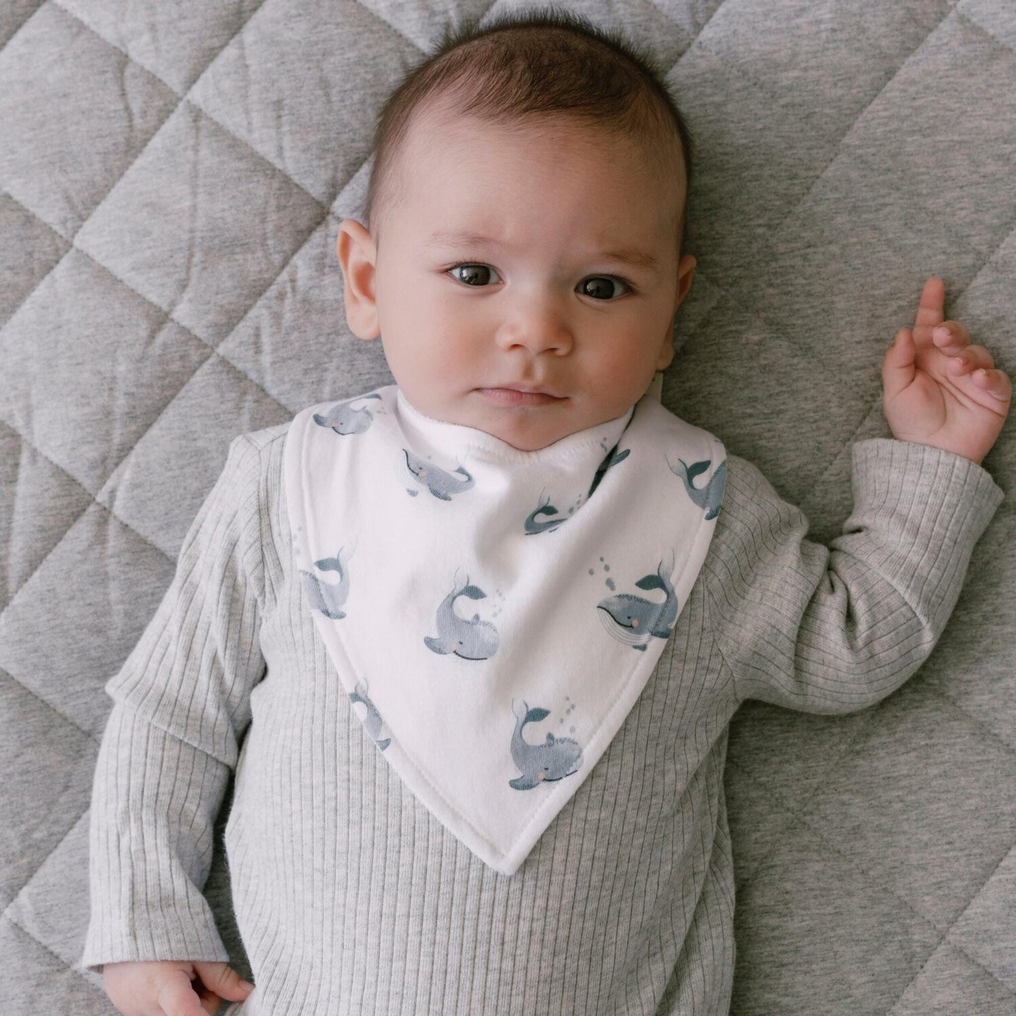 Mister Fly 100% Cotton Baby Dribble Bib