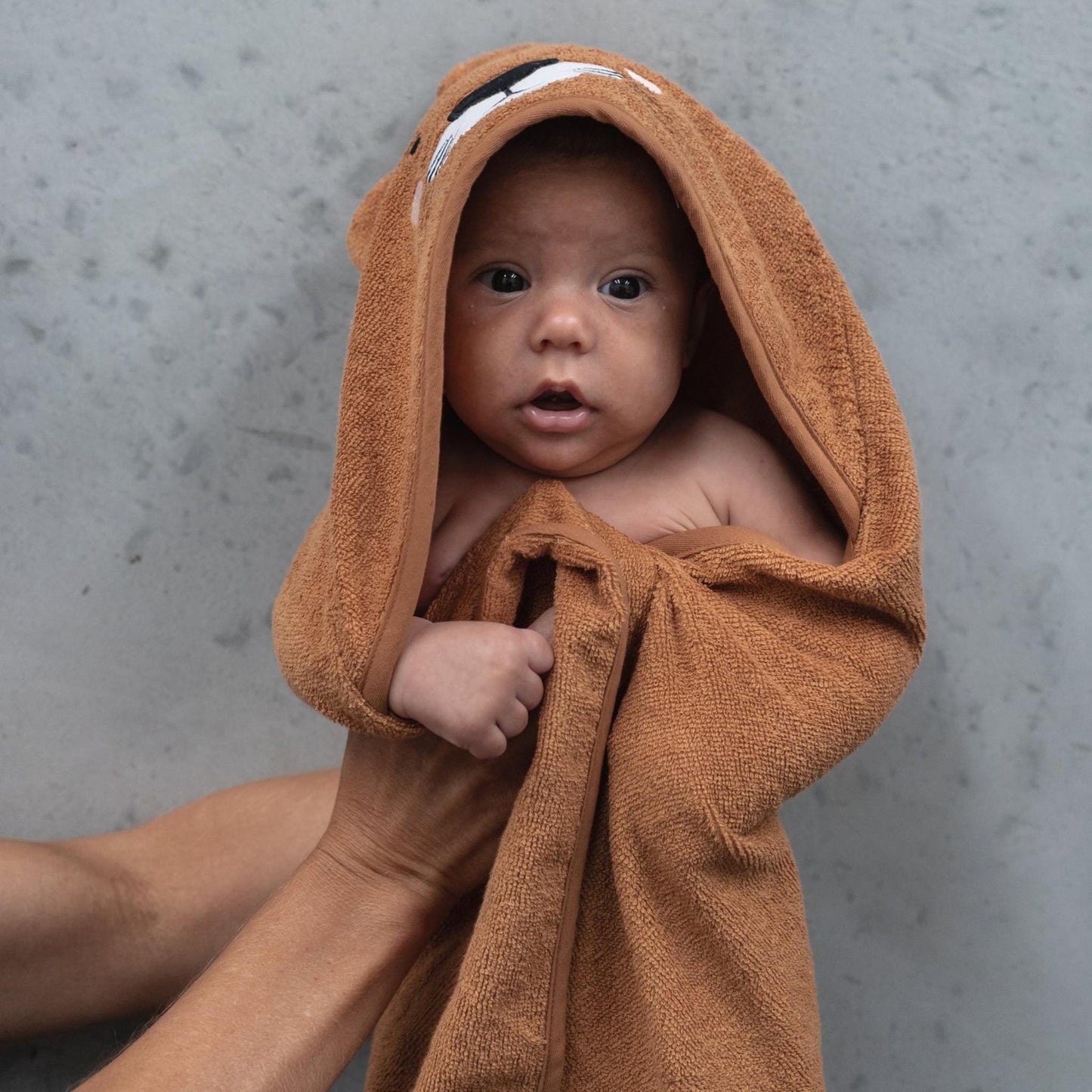 Mister Fly Baby Hooded Cotton Towel