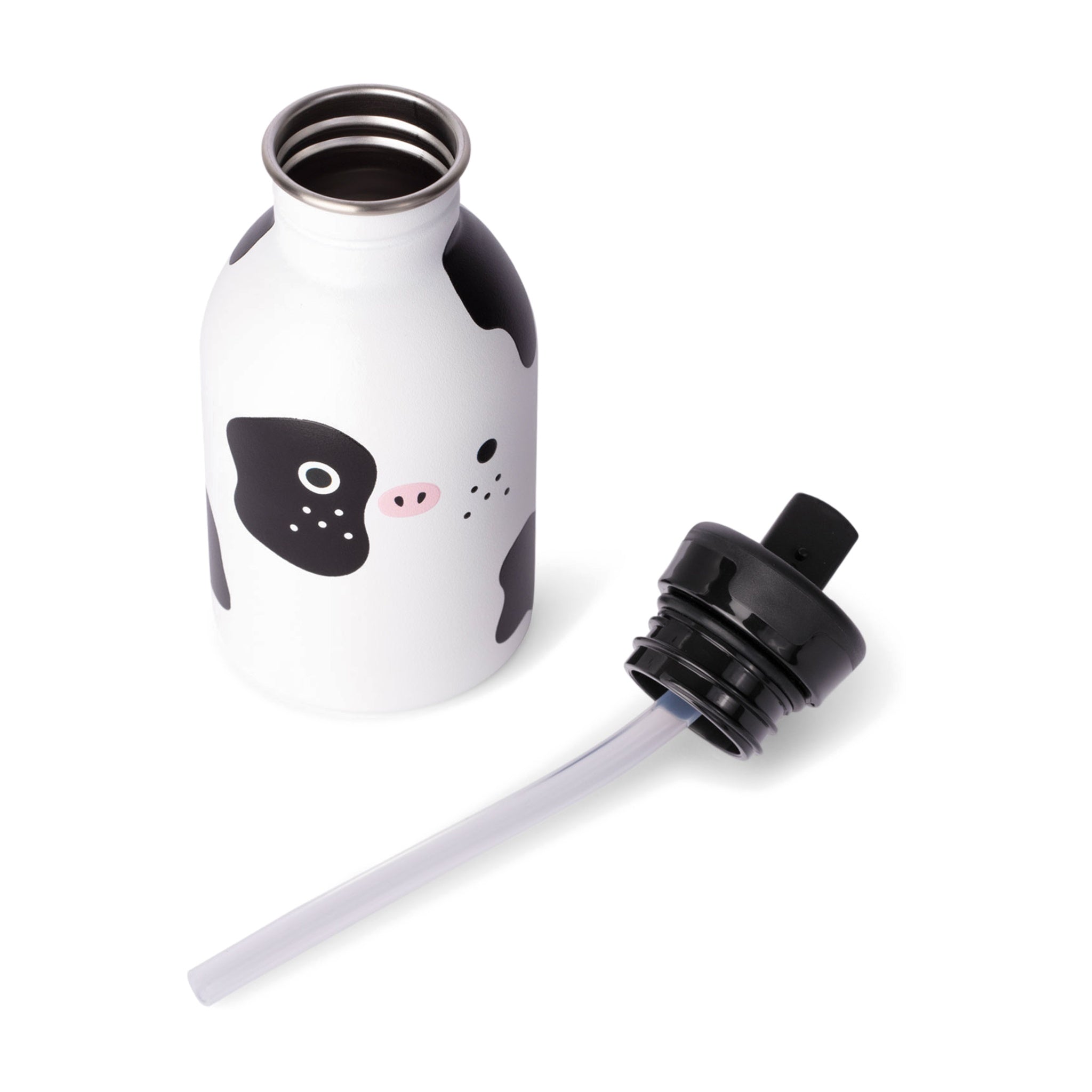 Noodoll Urban Water Bottle | Ultra-Lightweight Stainless Steel (250 ml)