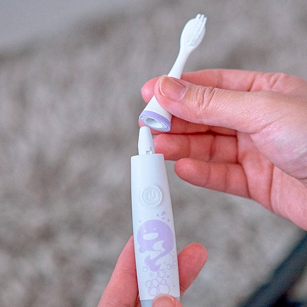 Marcus & Marcus Replacement Toothbrush Heads (Purple / Red / Pink) Marcus & Marcus Replacement Toothbrush Heads (Purple / Red / Pink) 