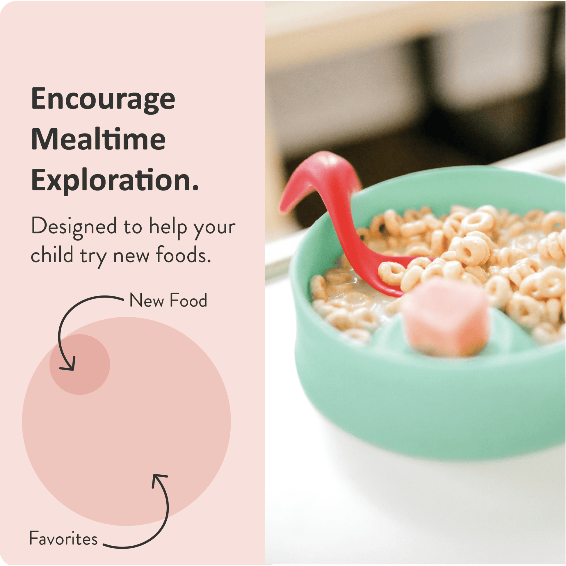 Kizingo Nudge Toddler Bowl Kizingo Nudge Toddler Bowl 