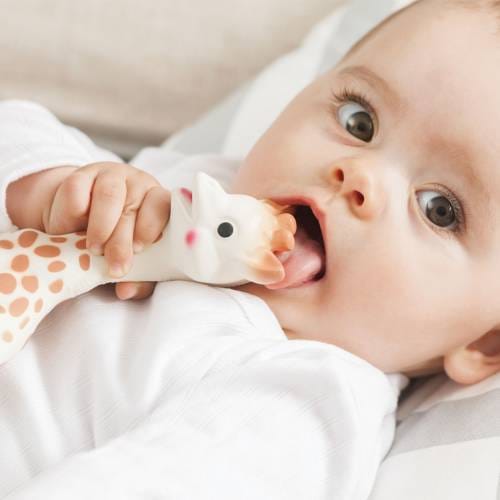 Sophie la girafe® Sophie la girafe® 