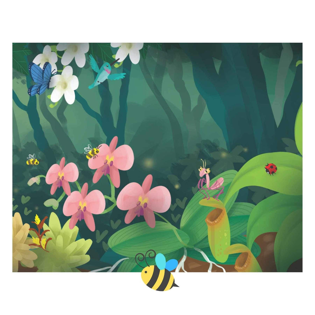 Ethicool My Rainforest Classroom Kids Picture Book Ethicool My Rainforest Classroom Kids Picture Book 