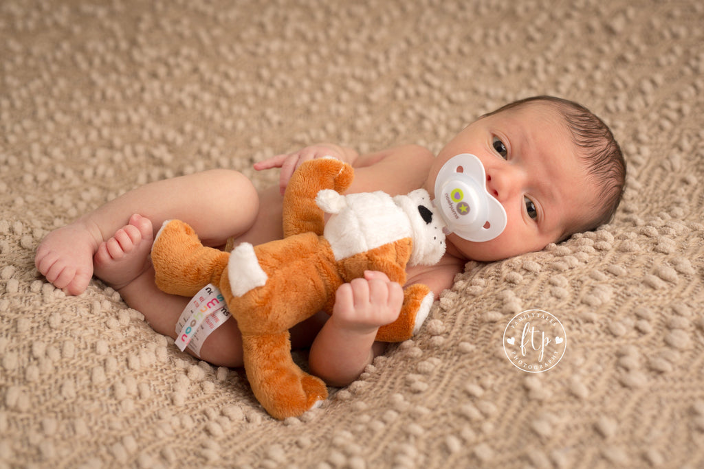 Nookums Paci-Plushies® Shakies - Barkley Bull Dog Nookums Paci-Plushies® Shakies - Barkley Bull Dog 