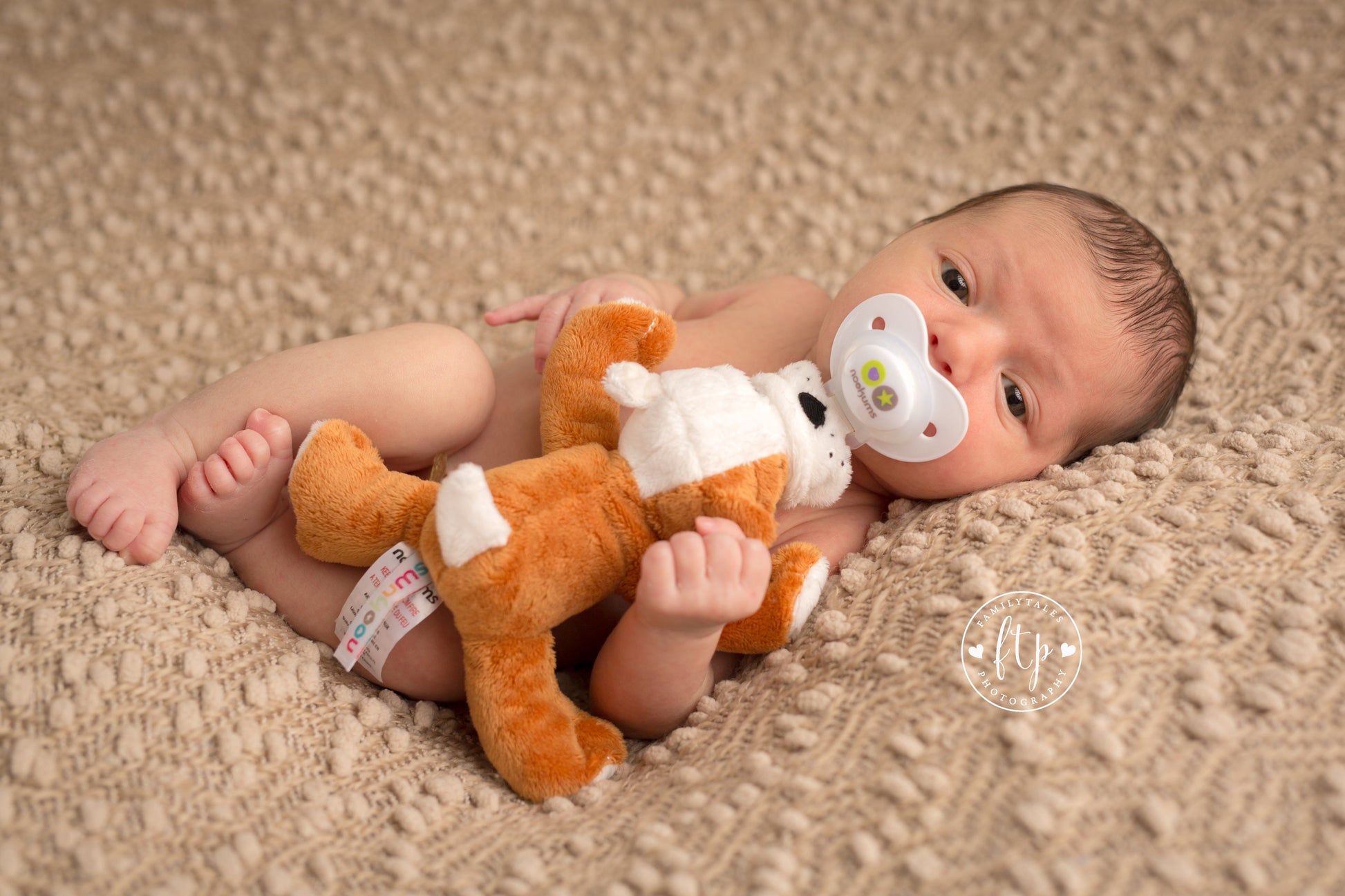 Nookums Paci-Plushies® Shakies - Barkley Bull Dog Nookums Paci-Plushies® Shakies - Barkley Bull Dog 