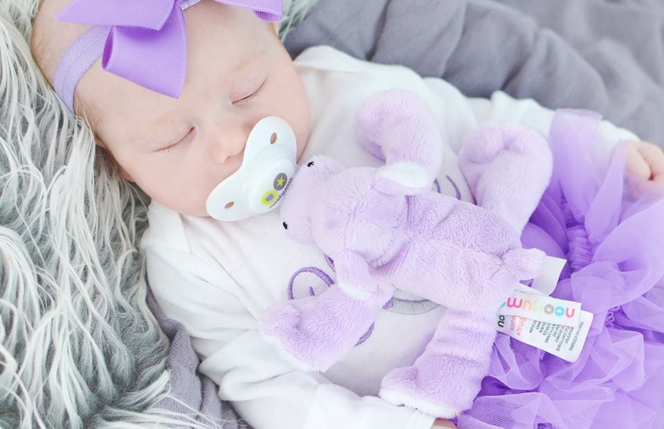 Nookums Paci-Plushies® Shakies - Happy Hippo Nookums Paci-Plushies® Shakies - Happy Hippo 