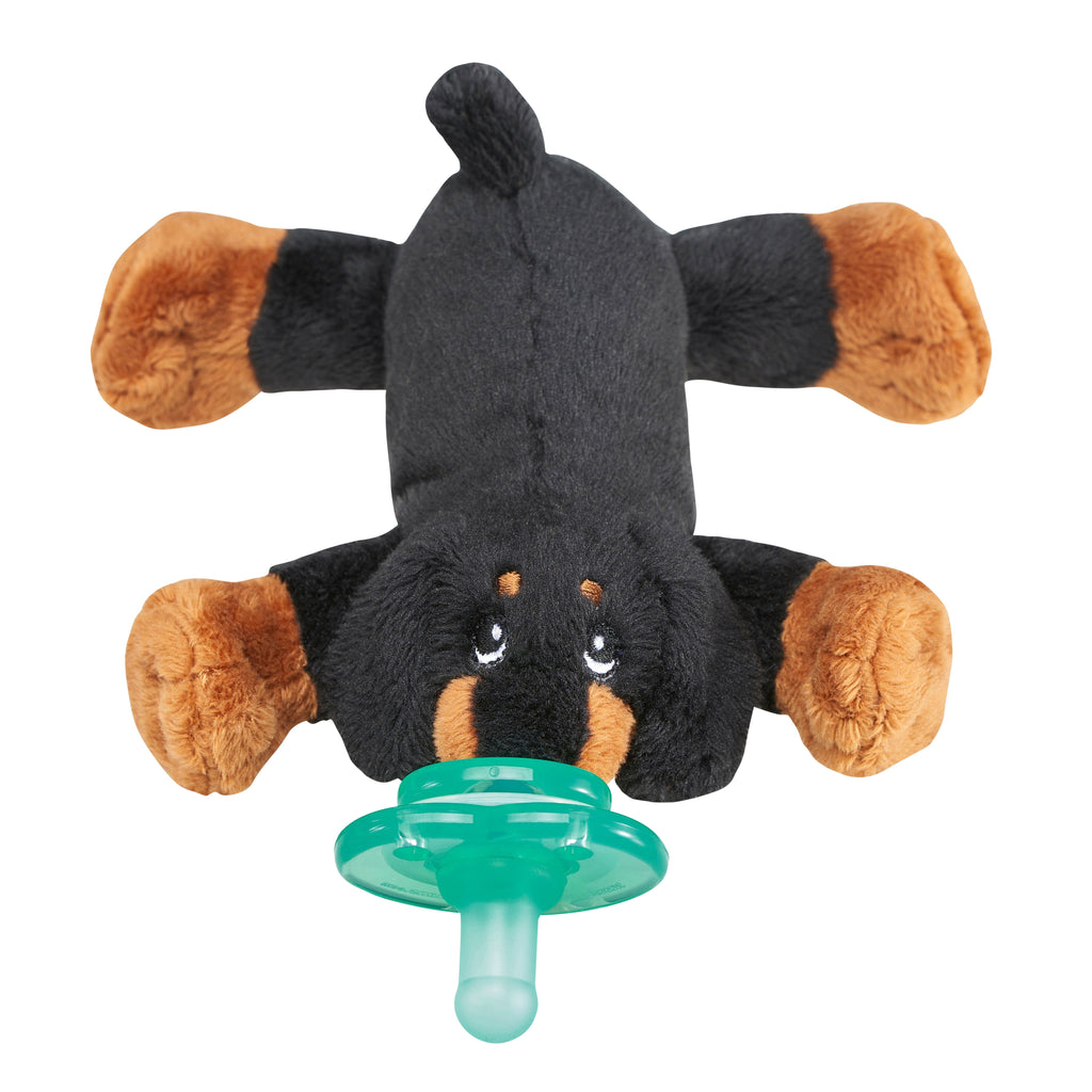 Nookums Paci-Plushies® Buddies – Dash Dog Nookums Paci-Plushies® Buddies – Dash Dog 