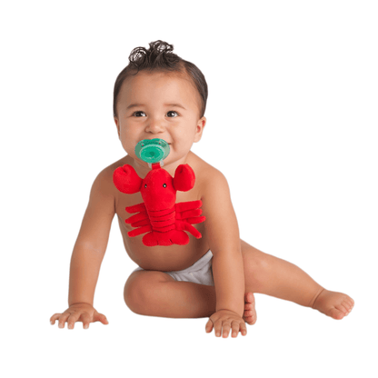 Nookums Paci-Plushies® Buddies - Lexi Lobster Nookums Paci-Plushies® Buddies - Lexi Lobster 