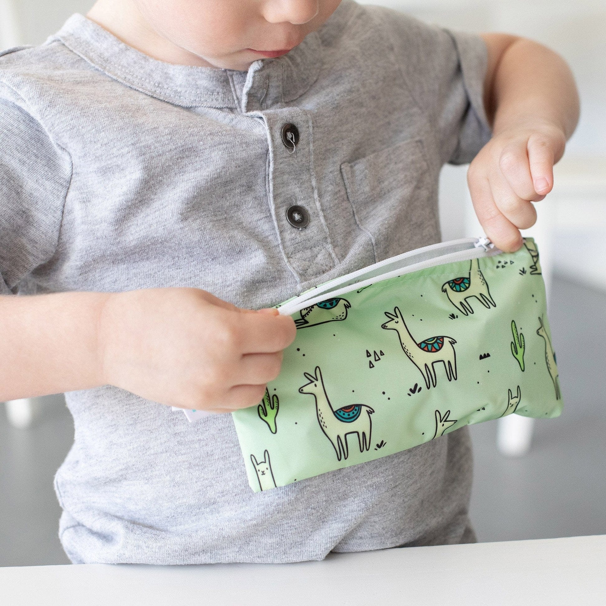 Bumkins Reusable Small Snack Bag, Set of 2 Bumkins Reusable Small Snack Bag, Set of 2 