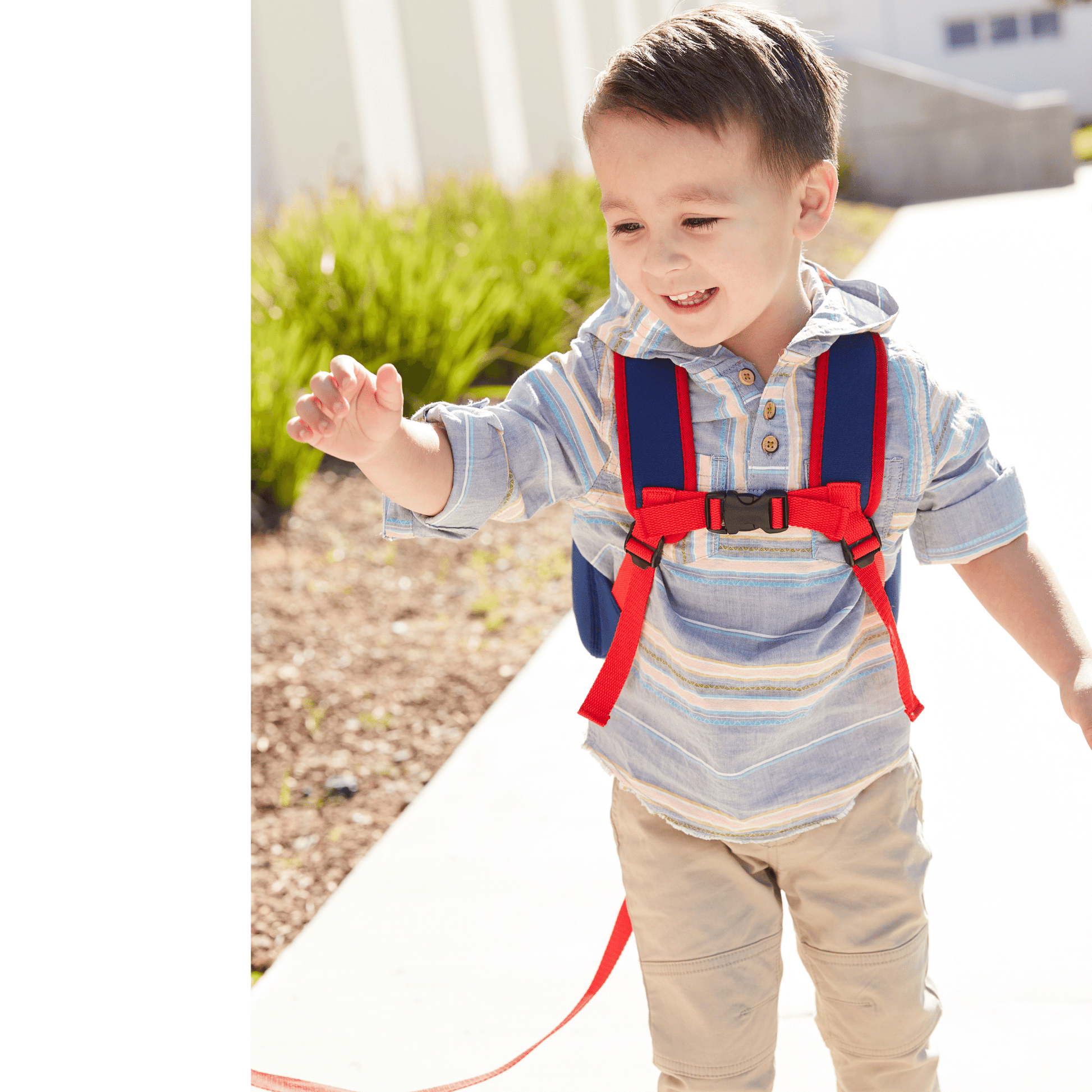 Dabbawalla Toddler Harness Backpacks Dabbawalla Toddler Harness Backpacks 