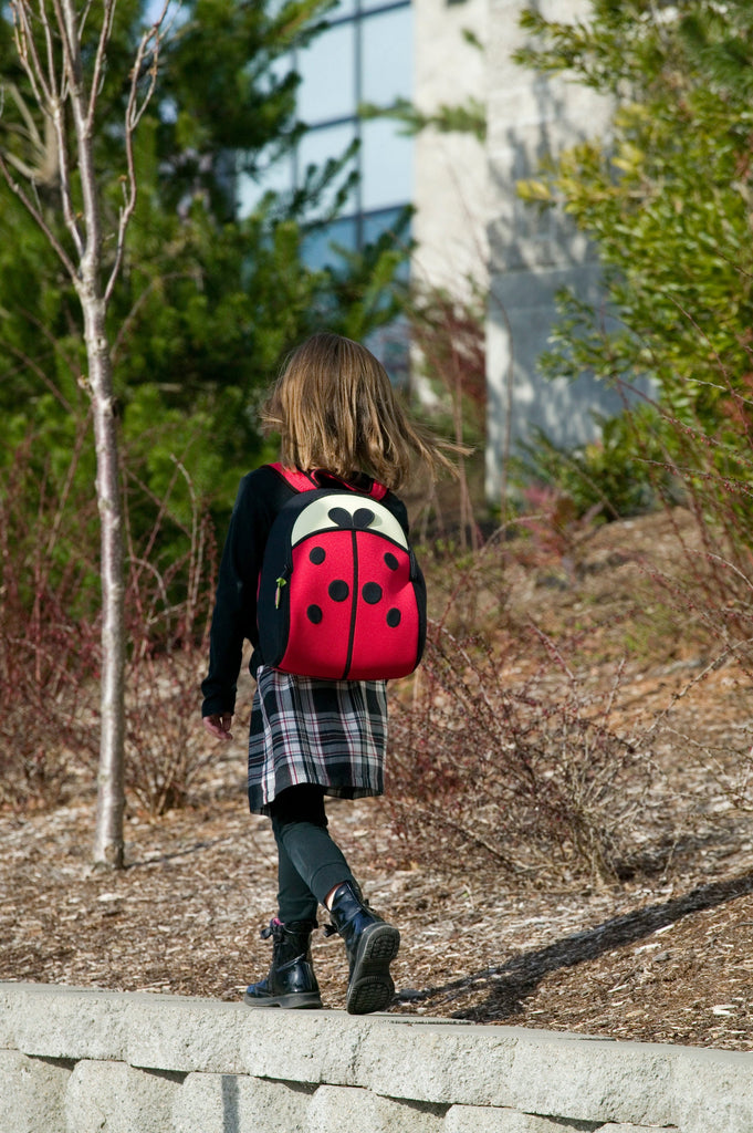 Dabbawalla Cute As A Ladybug Preschool Toddler Backpack Dabbawalla Cute As A Ladybug Preschool Toddler Backpack 