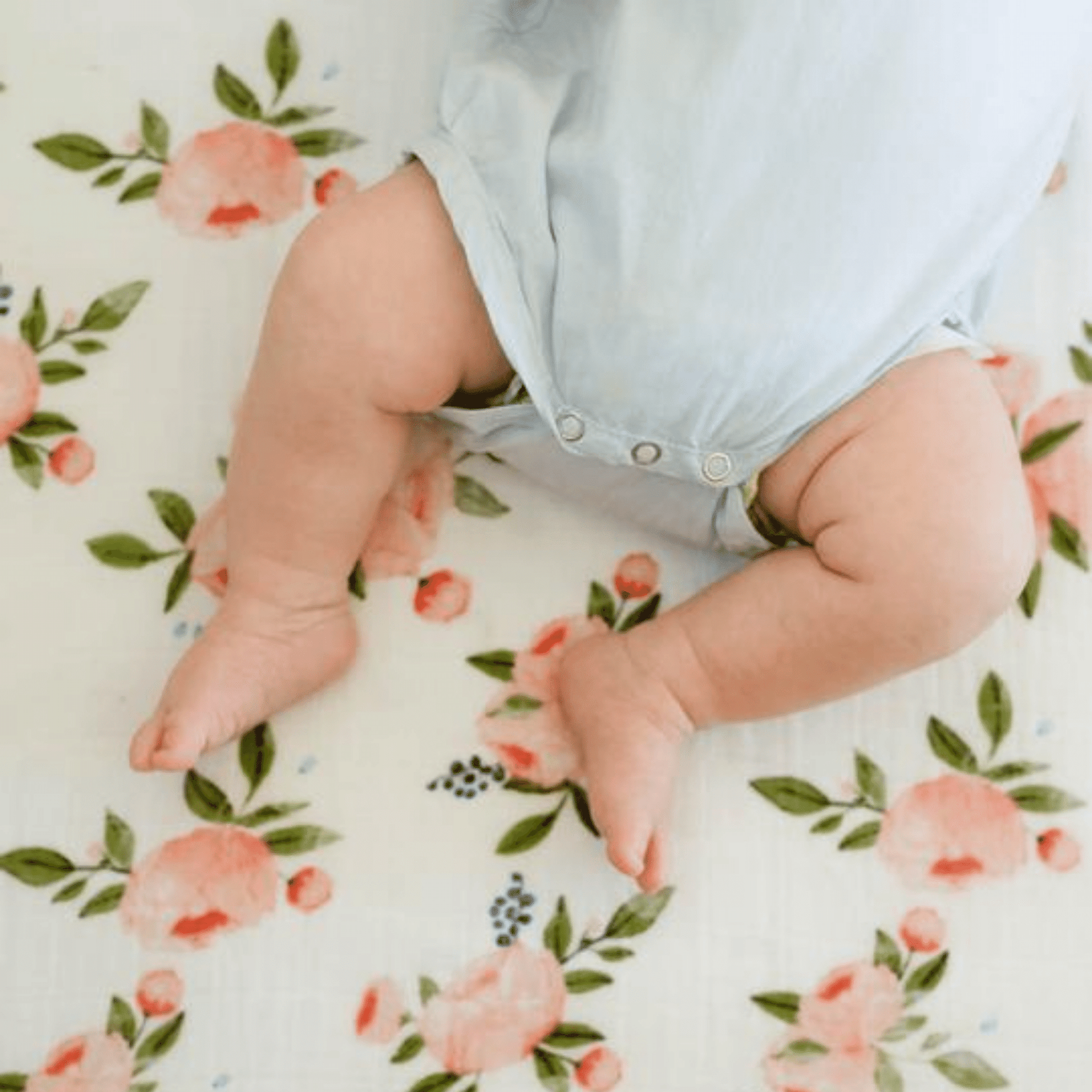Little Unicorn Cotton Muslin Fitted Cot Sheet - Watercolor Roses Little Unicorn Cotton Muslin Fitted Cot Sheet - Watercolor Roses 