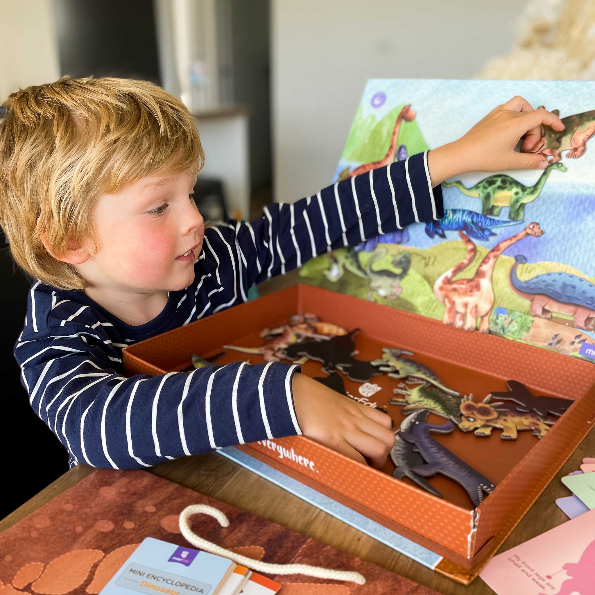 mierEdu All About Dinosaurs Magnetic Puzzle mierEdu All About Dinosaurs Magnetic Puzzle 