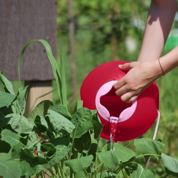Quut Ballo | The No Spill Bucket Quut Ballo | The No Spill Bucket 