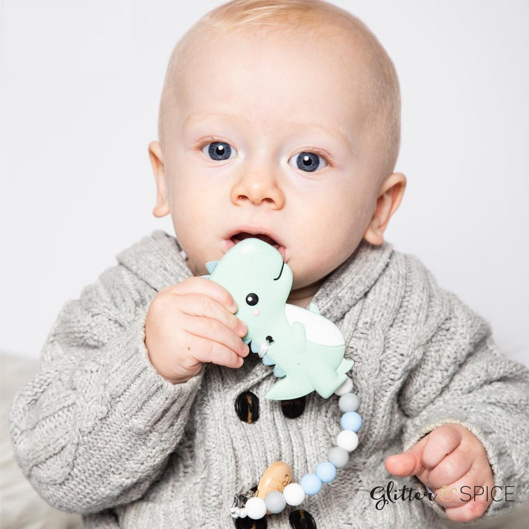 Glitter & Spice T-Rex Dino Silicone Teether with Pacifier Clip Glitter & Spice T-Rex Dino Silicone Teether with Pacifier Clip 